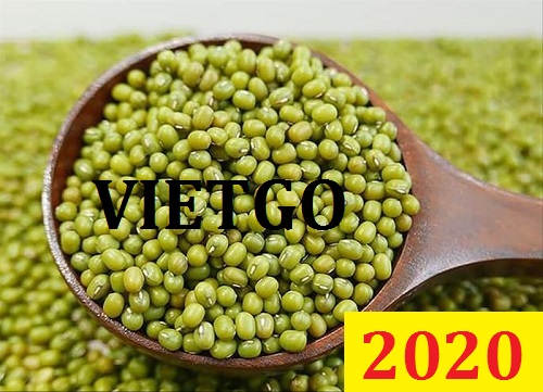 Cơ hội giao thương – Đơn hàng Đặc biệt Thường xuyên - Cơ hội xuất khẩu Đỗ xanh sang thị trường Pakistan.