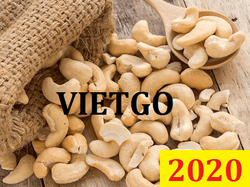 Cơ hội giao thương – Đơn hàng Đặc biệt Thường xuyên - Cơ hội xuất khẩu Hạt điều sang thị trường Pakistan.