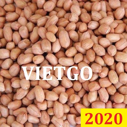 Cơ hội giao thương – Đơn hàng Đặc biệt Thường xuyên - Cơ hội xuất khẩu Lạc nhân sang thị trường Pakistan.
