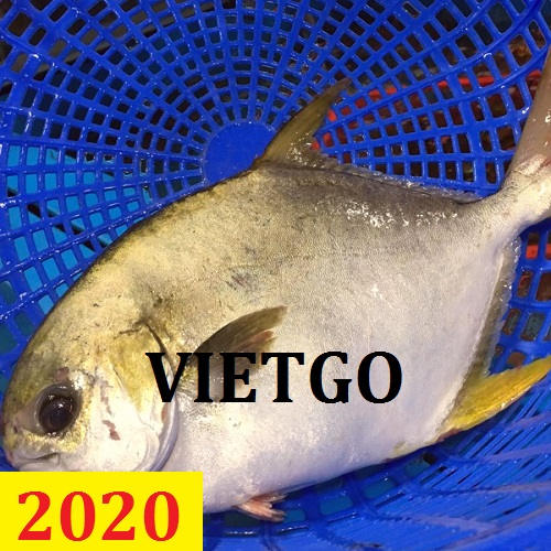 Cơ hội giao thương – Đơn hàng cả năm – Cơ hội xuất khẩu Cá chim cho vị khách hàng đến từ UAE