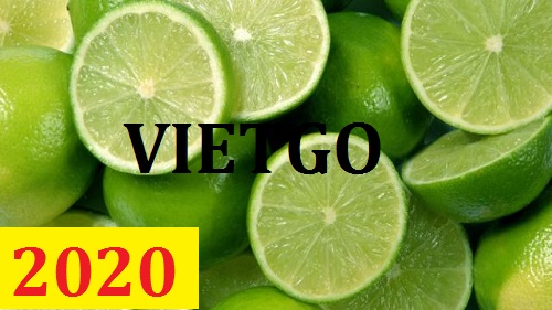 Cơ hội giao thương – Đơn hàng Thường Xuyên - Cơ hội xuất khẩu Chanh Xanh sang thị trường Ấn Độ