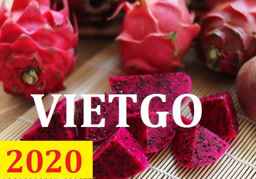 Cơ hội giao thương – Đơn hàng Thường Xuyên - Cơ hội xuất khẩu Thanh Long sang thị trường Ấn Độ