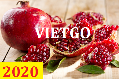 Cơ hội giao thương – Đơn hàng Thường xuyên - Cơ hội xuất khẩu Quả Lựu sang thị trường Dubai