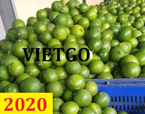 Cơ hội giao thương – Đơn hàng thường xuyên – Cơ hội xuất khẩu chanh xanh sang thị trường Dubai.
