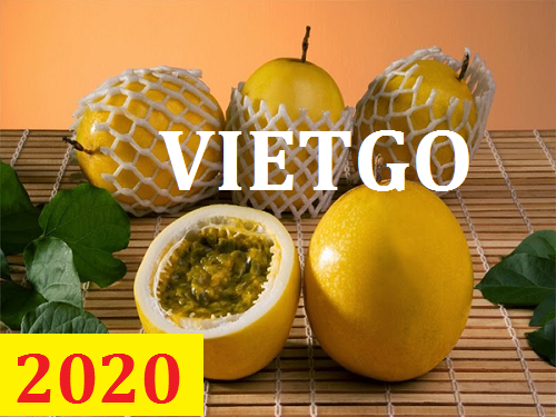 Cơ hội giao thương – Đơn hàng Thường Xuyên - Cơ hội xuất khẩu Chanh Dây sang thị trường Campuchia