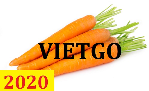 Cơ hội giao thương – Đơn hàng Thường Xuyên - Cơ hội xuất khẩu Cà Rốt sang thị trường UAE