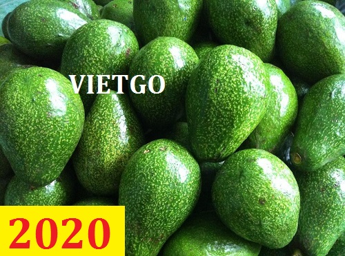 Cơ hội giao thương – Đơn hàng thường xuyên - Cơ hội cung cấp Bơ cho một doanh nghiệp tại Dubai