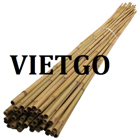 Cơ hội giao thương – Cơ hội xuất khẩu Gậy Tre đến từ vị khách hàng người Moldova