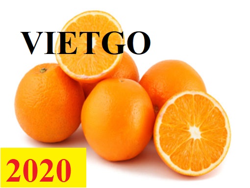Cơ hội giao thương – Đơn hàng Thường Xuyên - Cơ hội xuất khẩu Quả Cam sang thị trường Ấn Độ
