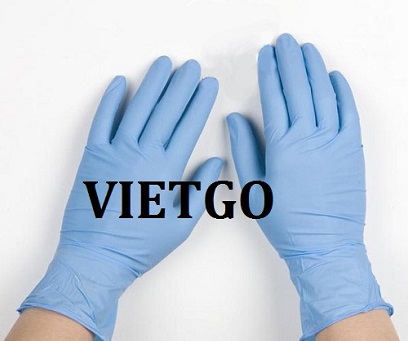 Cơ hội giao thương – Cơ hội xuất khẩu Găng tay cao su sang thị trường Hoa Kỳ và Châu Âu