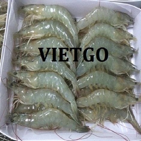 Cơ hội giao thương – Cơ hội xuất khẩu Tôm thẻ chân trắng sang thị trường Bỉ