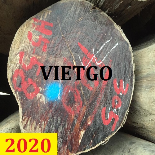 Cơ Hội Giao Thương - Đơn Hàng Thường Xuyên – Cơ Hội Xuất Khẩu Gỗ Teak Burma Tròn Sang Thị Trường Ấn Độ.