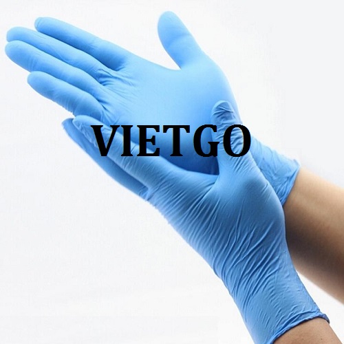 Cơ hội giao thương – Cơ hội xuất khẩu Găng tay cao su đến từ vị khách hàng người Hoa Kỳ