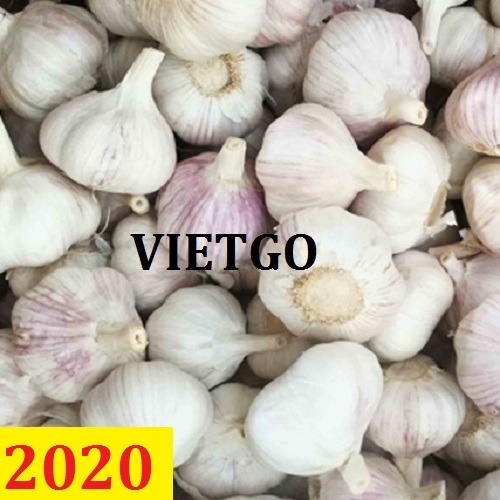 Cơ hội giao thương – Đơn hàng thường xuyên - Cơ hội cung cấp Tỏi trắng cho một doanh nghiệp tại Dubai