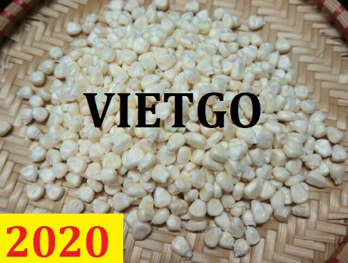 Cơ hội giao thương – Đơn hàng Thường xuyên - Cơ hội xuất khẩu Ngô Nếp sang thị trường Togo