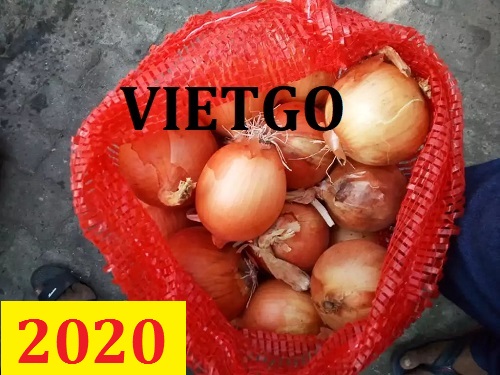 Cơ hội giao thương – Đơn hàng Thường xuyên - Cơ hội xuất khẩu Hành Tây sang thị trường Congo