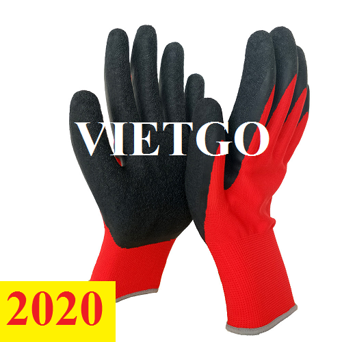 Cơ hội giao thương – Đơn hàng thường xuyên - Cơ hội cung cấp găng tay lao động đến thị trường Ấn Độ