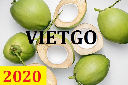 (Gấp ) Cơ hội giao thương  - Đơn hàng Thường Xuyên - Cơ hội xuất khẩu Dừa Tươi sang thị trường Trung Quốc