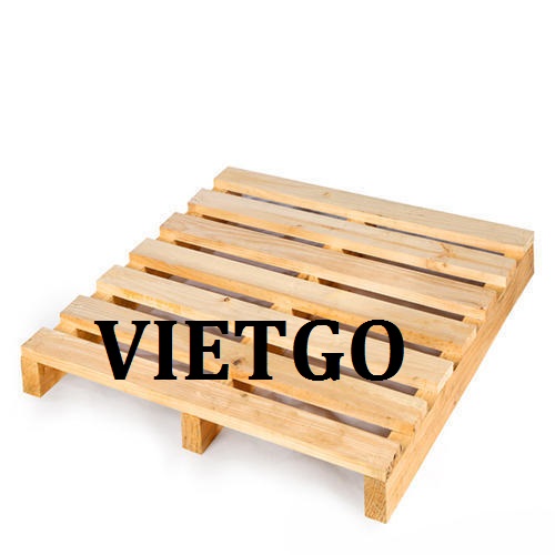 Cơ hội giao thương - Cơ hội xuất khẩu Pallet sang thị trường Ấn Độ