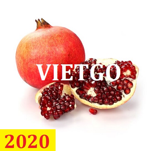Cơ hội giao thương – Đơn hàng Thường Xuyên - Cơ hội xuất khẩu Quả Lựu sang thị trường Ả Rập Xê Út