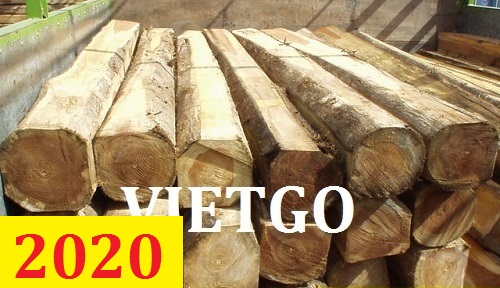 Cơ hội giao thương – Đơn hàng thường xuyên - Cơ hội xuất khẩu Gỗ keo xẻ hộp sang thị trường Sudan