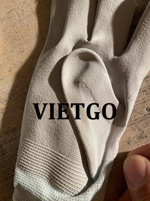 Cơ hội giao thương - Cơ hội xuất khẩu sản phẩm găng tay lao động sang thị trường Thụy Sĩ