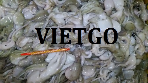 Cơ hội giao thương –  Cơ hội xuất khẩu Bạch tuộc sang thị trường Indonesia