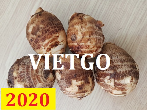 Cơ hội giao thương – Đơn hàng thường xuyên – Cơ hội xuất khẩu Khoai Sọ sang thị trường Cameroon.