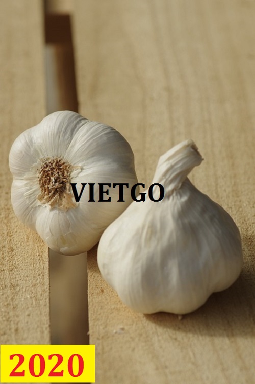 Cơ hội giao thương – Đơn hàng thường xuyên - Cơ hội xuất khẩu tỏi trắng hằng tháng đến từ vị khách hàng người Kenya.