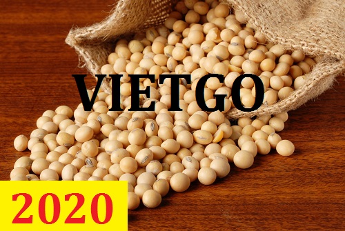 Cơ hội giao thương – Đơn hàng thường xuyên - Cơ hội xuất khẩu đậu nành hằng tháng đến từ vị khách hàng người Kenya.
