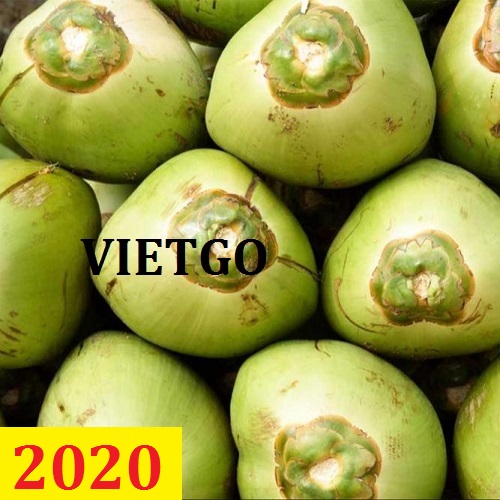 Cơ hội giao thương  - Đơn Hàng Thường Xuyên -  Cơ hội xuất khẩu Quả Dừa sang thị trường Nga