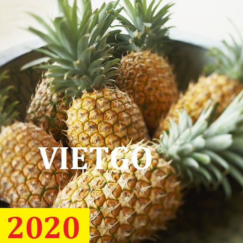Cơ hội giao thương  - Đơn Hàng Thường Xuyên -  Cơ hội xuất khẩu Quả Dứa sang thị trường Nga