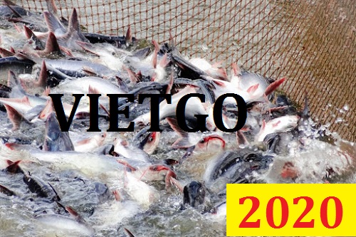 Cơ hội giao thương Đặc Biệt Cả Năm – Cơ hội xuất khẩu Cá tra cho vị khách hàng người Malaysia