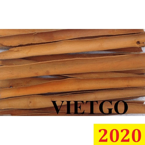 Cơ hội giao thương – Đơn hàng đặc biệt thường xuyên - Cơ hội xuất khẩu quế chẻ sang thị trường Nam Mỹ.