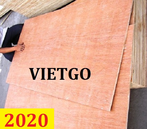 Cơ hội giao thương – Đơn hàng thường xuyên - Cơ hội xuất khẩu Gỗ dán đến từ vị khách hàng người Hàn Quốc