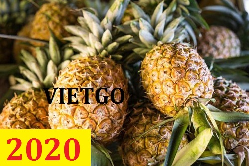 Cơ hội giao thương  - Đơn Hàng Thường Xuyên -  Cơ hội xuất khẩu Quả Dứa sang thị trường UAE