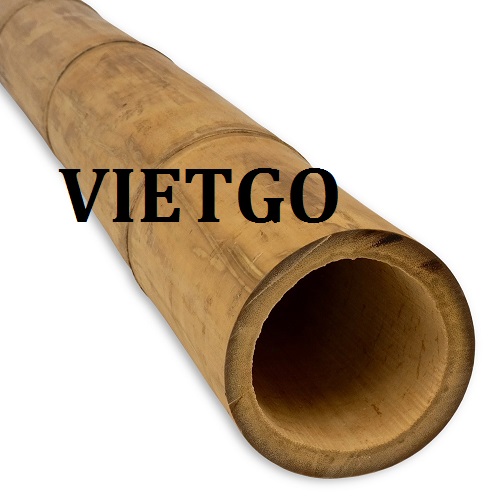 Cơ hội giao thương – Cơ hội xuất khẩu Gậy tre sang thị trường Nga vô cùng tiềm năng