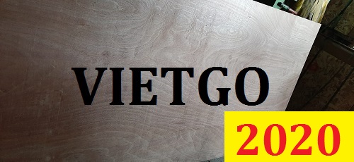 Cơ hội giao thương đặc biệt – Đơn hàng thường xuyên - Cơ hội xuất khẩu gỗ dán sang thị trường Ấn Độ