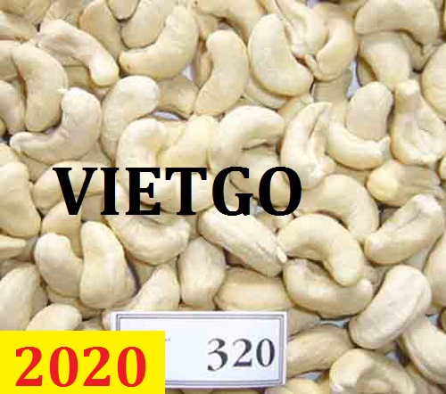 Cơ hội giao thương– Đơn hàng Thường Xuyên  - Cơ hội xuất khẩu Hạt điều sang thị trường Châu Phi