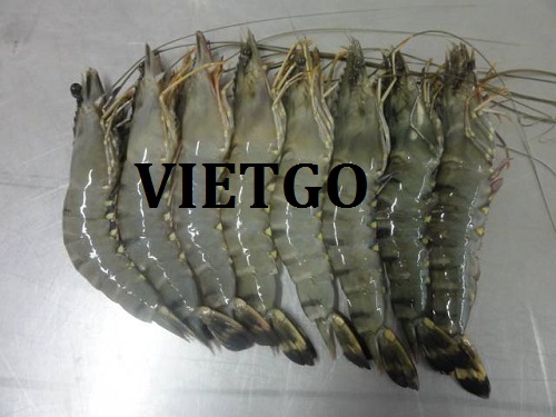Cơ hội giao thương – Cơ hội xuất khẩu Tôm Sú đến từ vị khách hàng người Thổ Nhỹ Kỳ