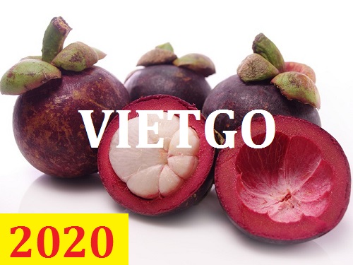 Cơ hội giao thương  - Đơn Hàng Thường Xuyên -  Cơ hội xuất khẩu Măng Cụt sang thị trường Ấn Độ