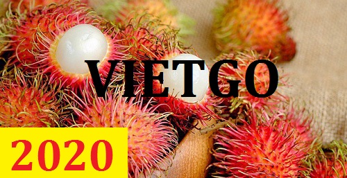 Cơ hội giao thương  - Đơn Hàng Thường Xuyên -  Cơ hội xuất khẩu Chôm Chôm sang thị trường Ấn Độ