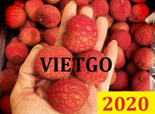 Cơ hội giao thương Đặc Biệt – Đơn hàng Thường Xuyên - Cơ hội xuất khẩu Quả Vải sang thị trường UAE
