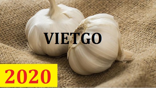 Cơ hội giao thương – Đơn hàng thường xuyên – Cơ hội xuất khẩu Tỏi trắng sang thị trường Jordan.