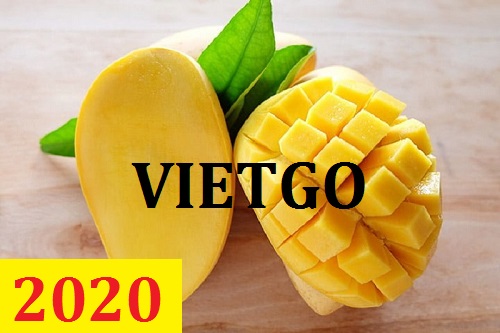 Cơ hội giao thương  - Đơn Hàng Thường Xuyên -  Cơ hội xuất khẩu Quả Xoài sang thị trường Canada