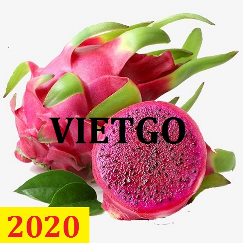 Cơ hội giao thương  - Đơn Hàng Thường Xuyên -  Cơ hội xuất khẩu Thanh Long sang thị trường Bangladesh