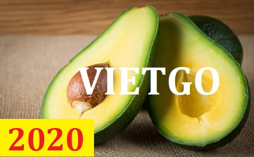 Cơ hội giao thương  - Đơn Hàng Thường Xuyên -  Cơ hội xuất khẩu Quả Bơ sang thị trường Bangladesh