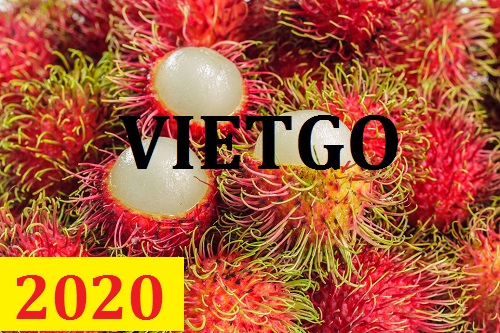 Cơ hội giao thương  - Đơn Hàng Thường Xuyên -  Cơ hội xuất khẩu Chôm Chôm sang thị trường Bangladesh