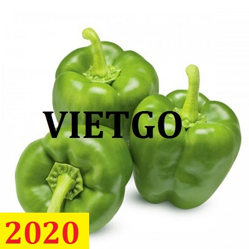 Cơ hội giao thương  - Đơn Hàng Thường Xuyên -  Cơ hội xuất khẩu Ớt Chuông sang thị trường Bangladesh
