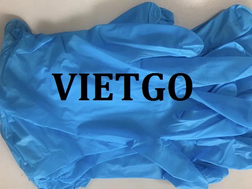 Cơ hội giao thương – Cơ hội xuất khẩu Găng tay cao su sang thị trường Mexico